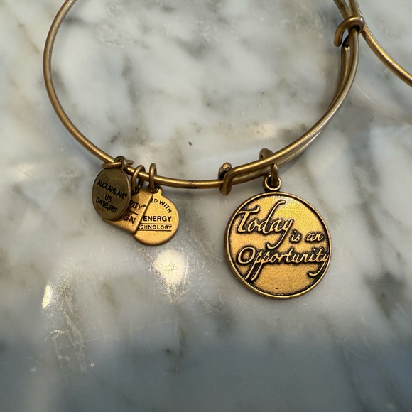 Alex and Ani gold charm bracelets 3 - Picture 3 of 6